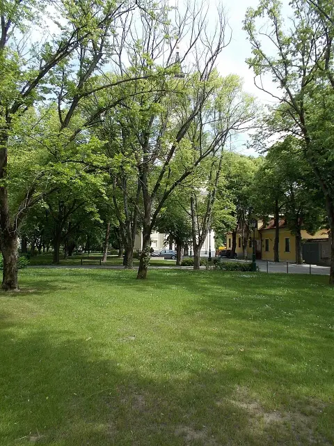 Rózsaszín virágú gyöngyvirágcserje / Deutzia purpurascens 'Kalmiiflora'