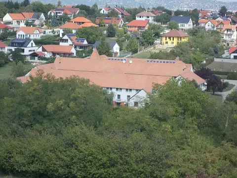 Napvirág / Helianthemum 'Lucy Elisabeth'