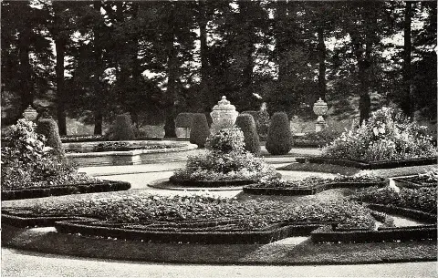 Tűzeső / Heuchera 'Happy Easter'